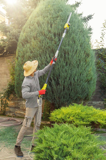 Best Tree Preservation Services  in Bunker Hill, OR